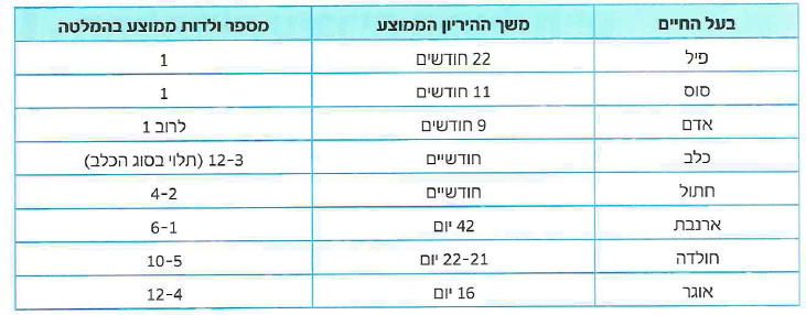 (בספר תמונה 1)